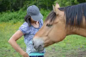 Horse Herd