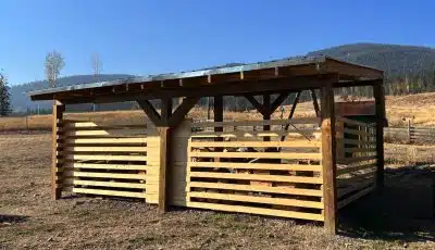Finished Woodshed