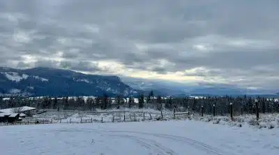 Ranch Winter
