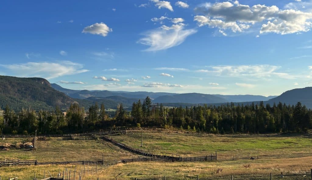 Connecting to nature